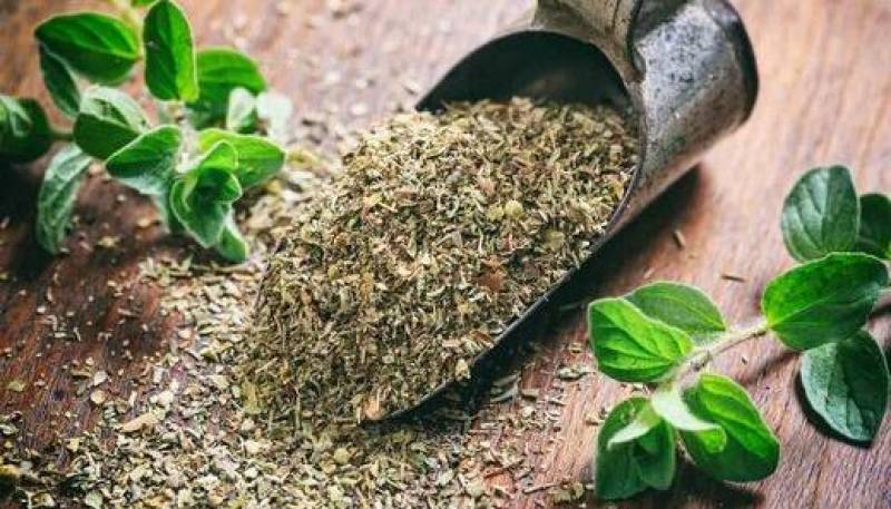 این گیاه معطر ۶ ویروس خطرناک را از شما دور می‌کند